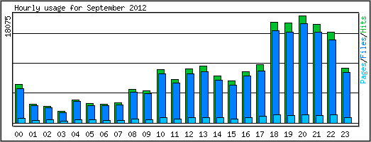 Hourly usage